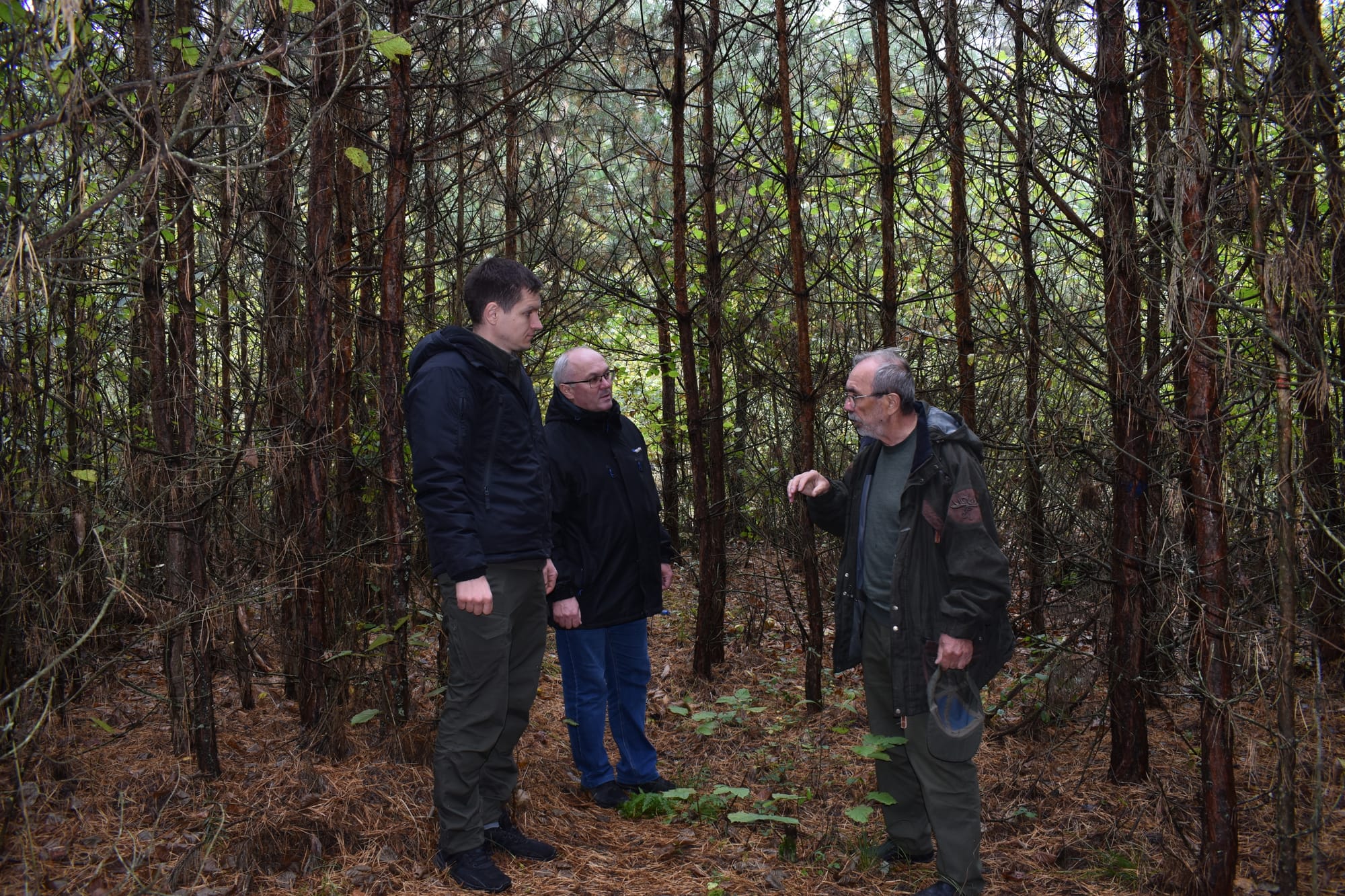 Системні дослідження на території лісового фонду