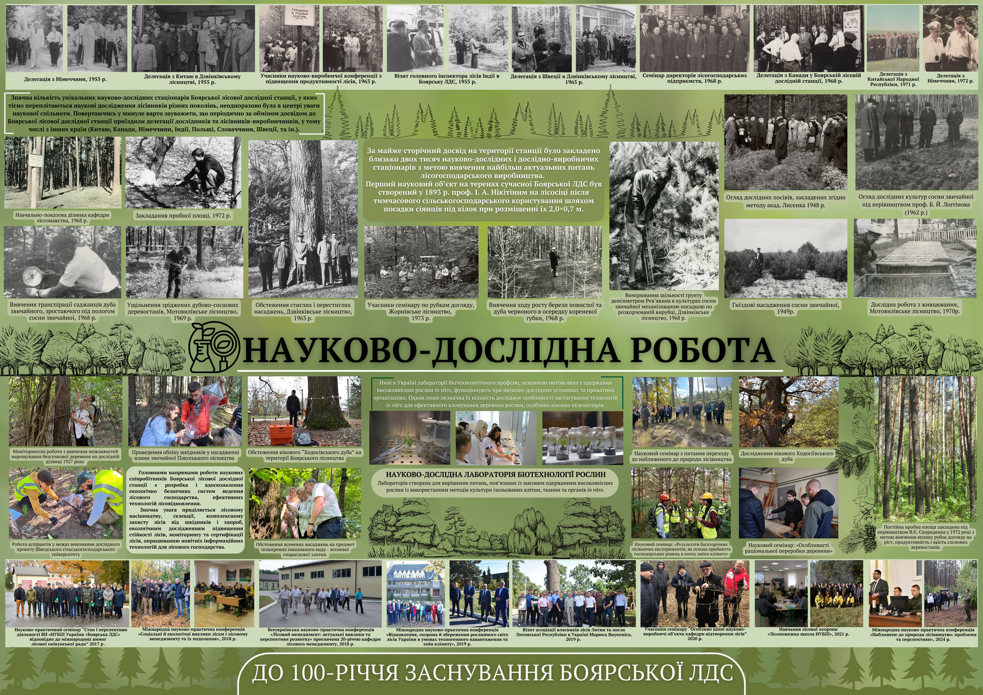 Наукова діяльність
