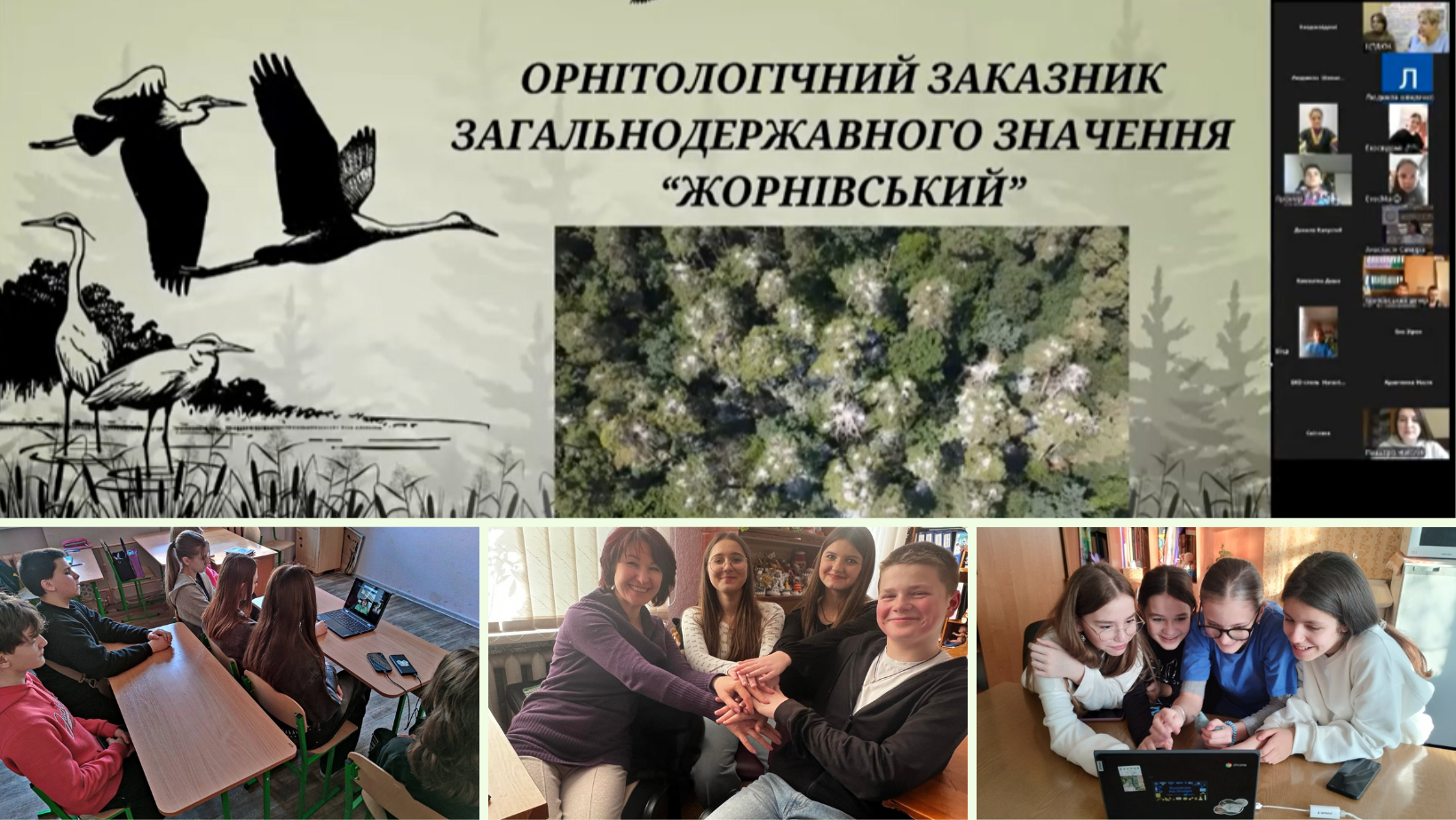 «Птахів оберігаємо!»