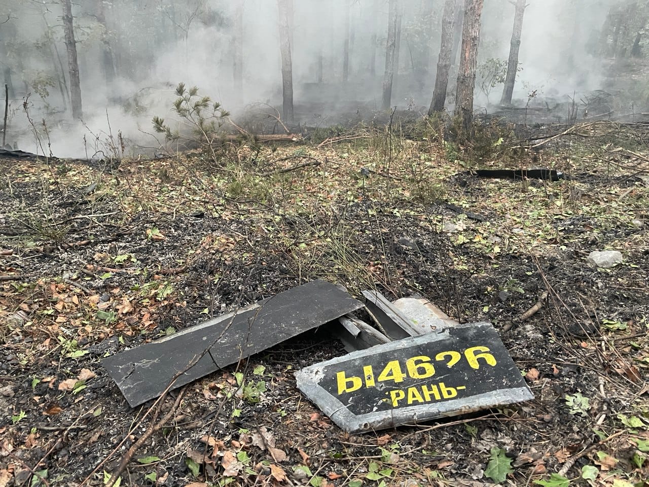 Міжнародний день просвіти з питань мінної небезпеки та допомоги в діяльності, пов’язаній з розмінуванням