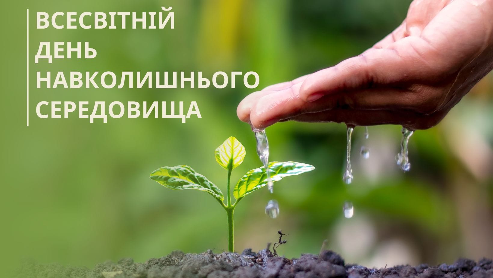 Наша земля. Наше майбутнє.