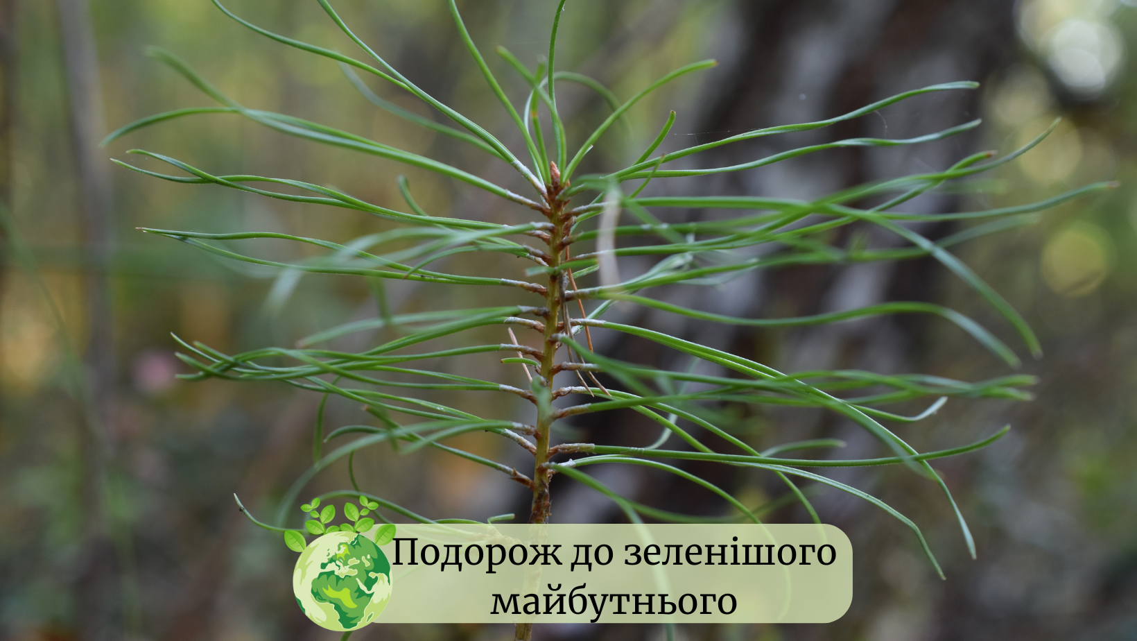 День навколишнього середовища