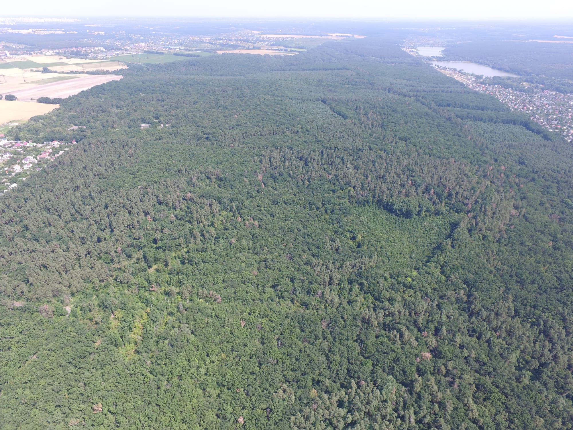 Студенти ННІ лісового і садово-паркового господарства разом зі співробітниками ВП НУБіП України Боярська ЛДС збирали дослідний матеріал під час навчальної практики за допомогою дрона
