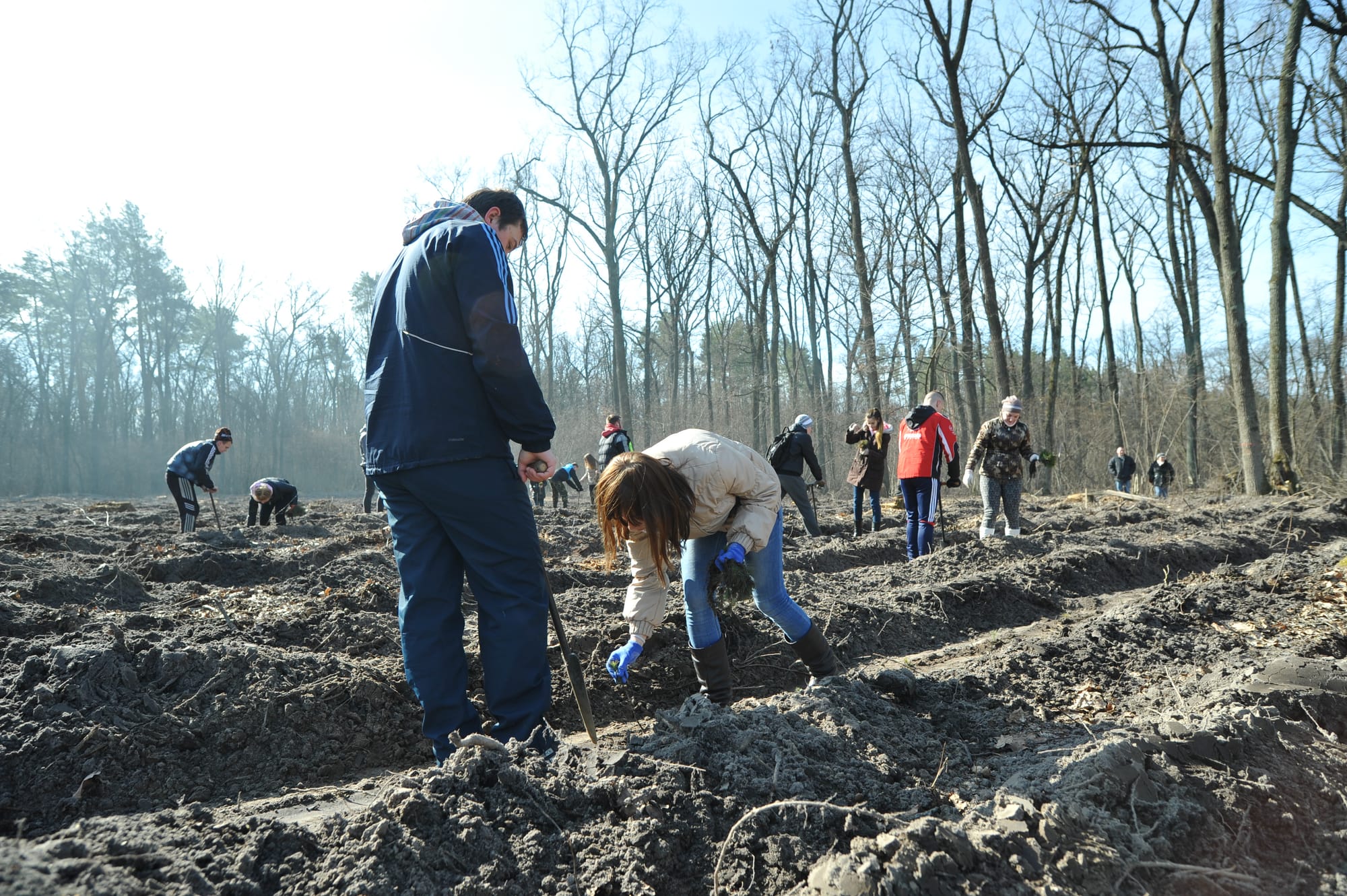 Весняна лісокультурна компанія 2016 року.