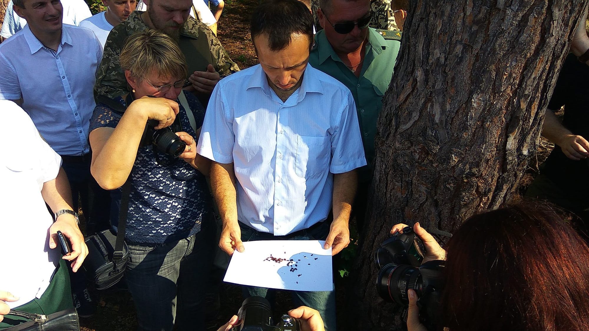 Виїзний семінар щодо всихання соснових насаджень у Поліському регіоні