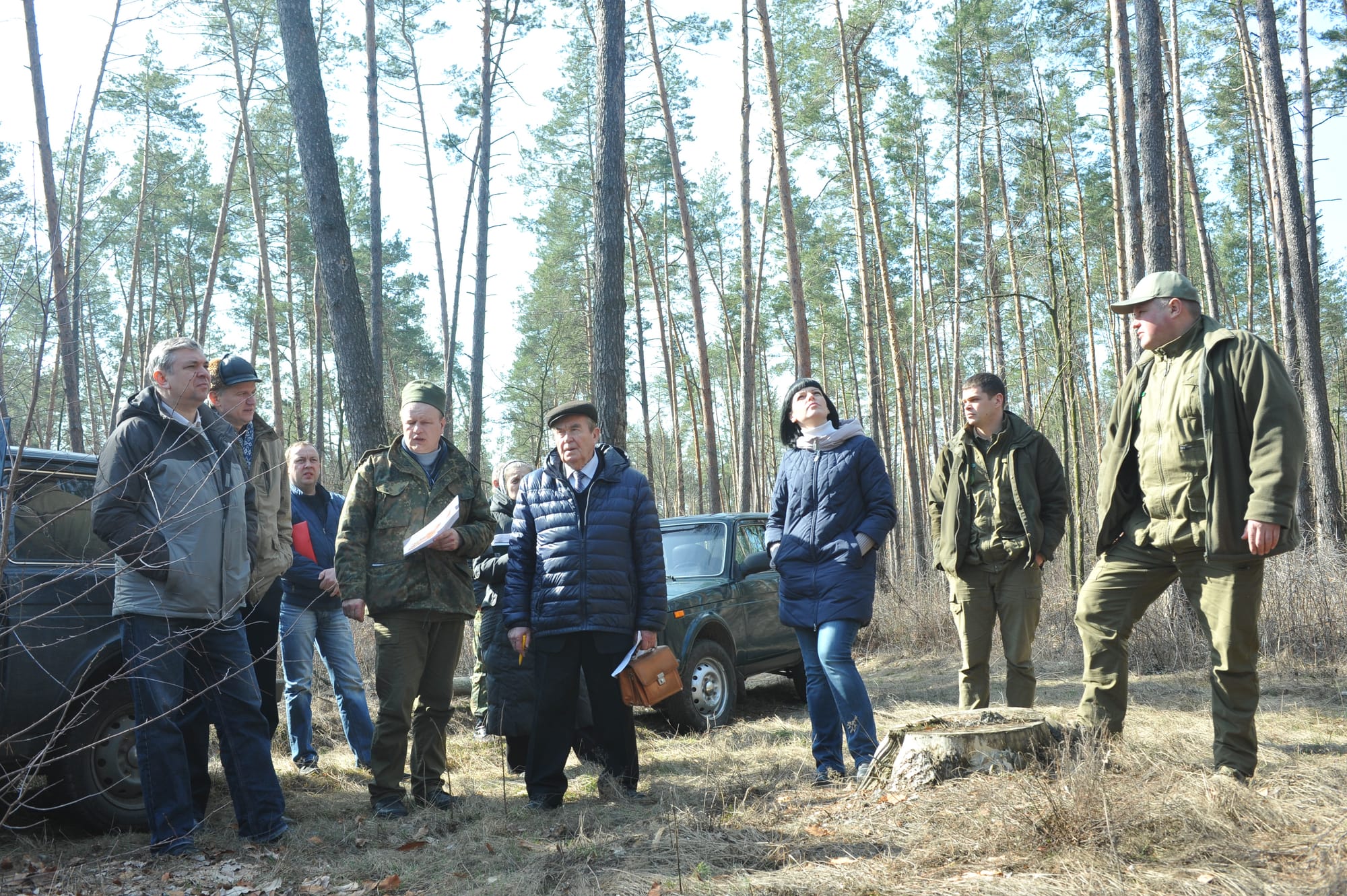 Лісопатологічне обстеження лісових масивів ВП НУБіП України «Боярська ЛДС»
