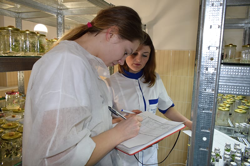 Майстер-клас із регенераційної здатності мікропагонів in vitro та їх адаптації до умов закритого ґрунту