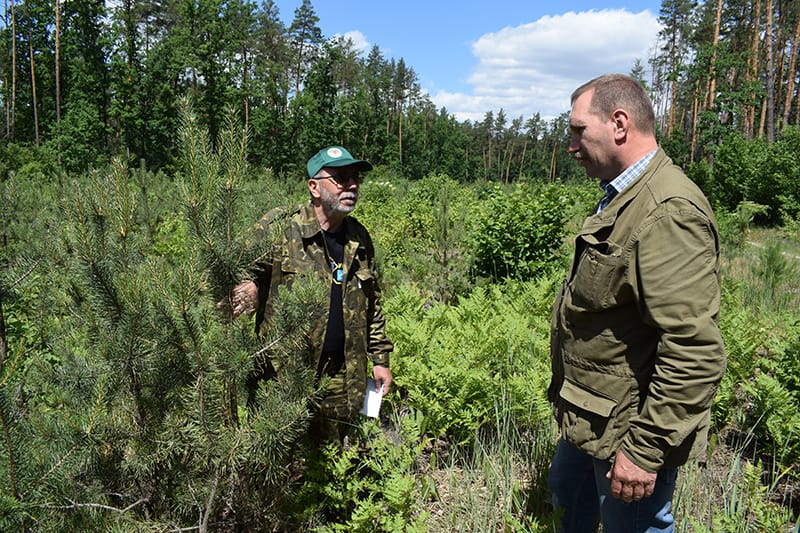 Не можна підготувати лісівника без досліджень у лісі…