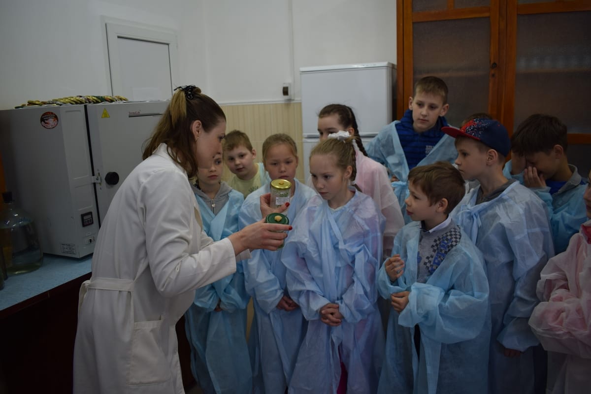 Еколого-просвітницька діяльність ВП НУБіП України «Боярська лісова дослідна станція»