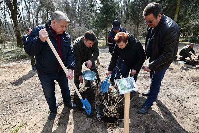 У ботанічному саді НУБіП заклали унікальний, найбільший за сортами сад магнолій