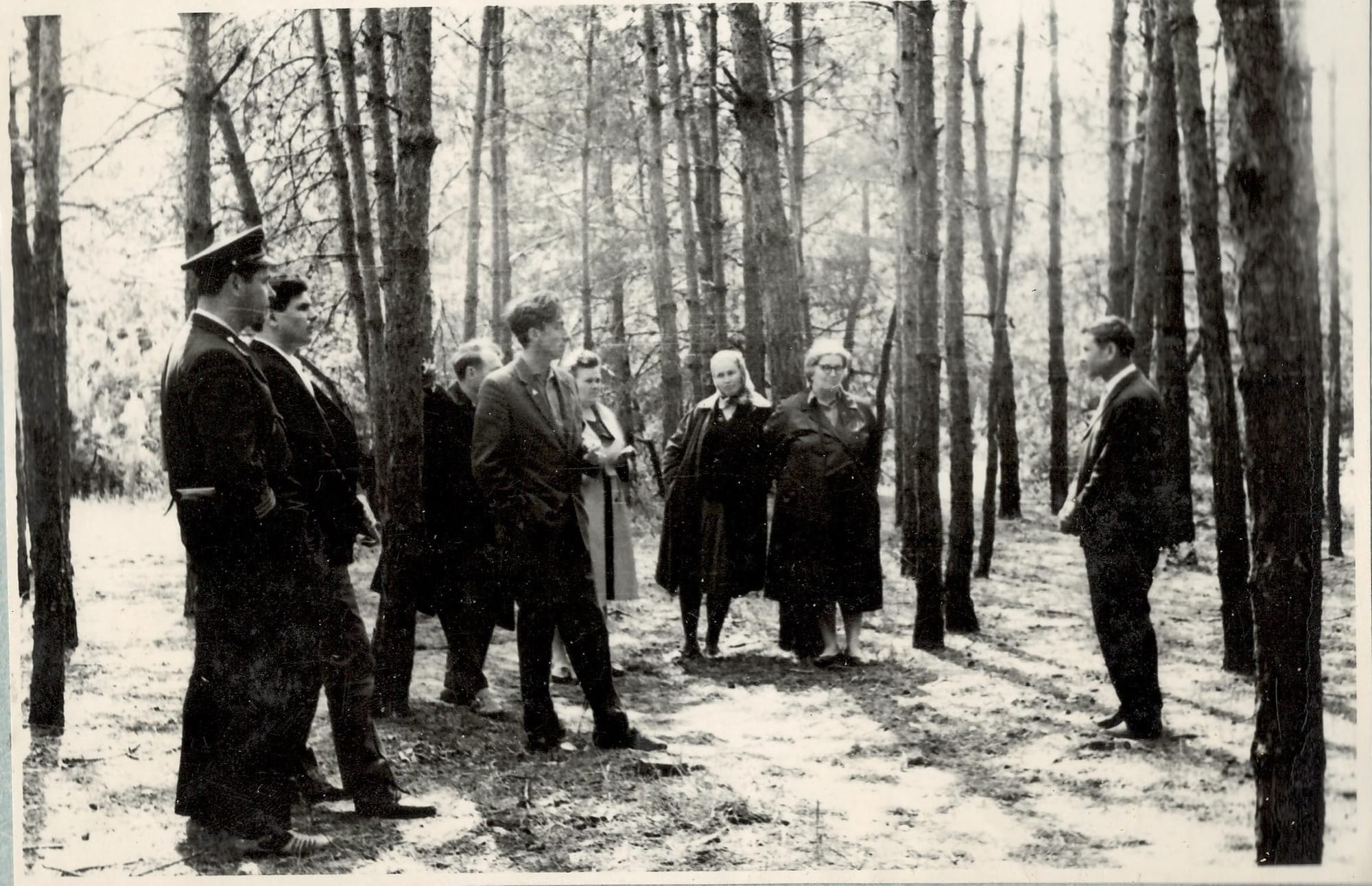 Лісове господарство Київської області (1968 рік)