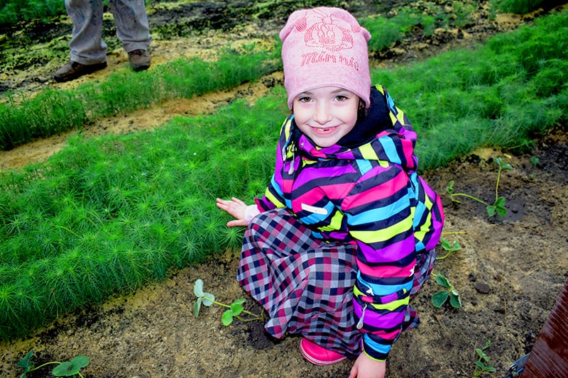 Екологічна просвіта як один із пріоритетних напрямів діяльності працівників Боярської лісової дослідної станції