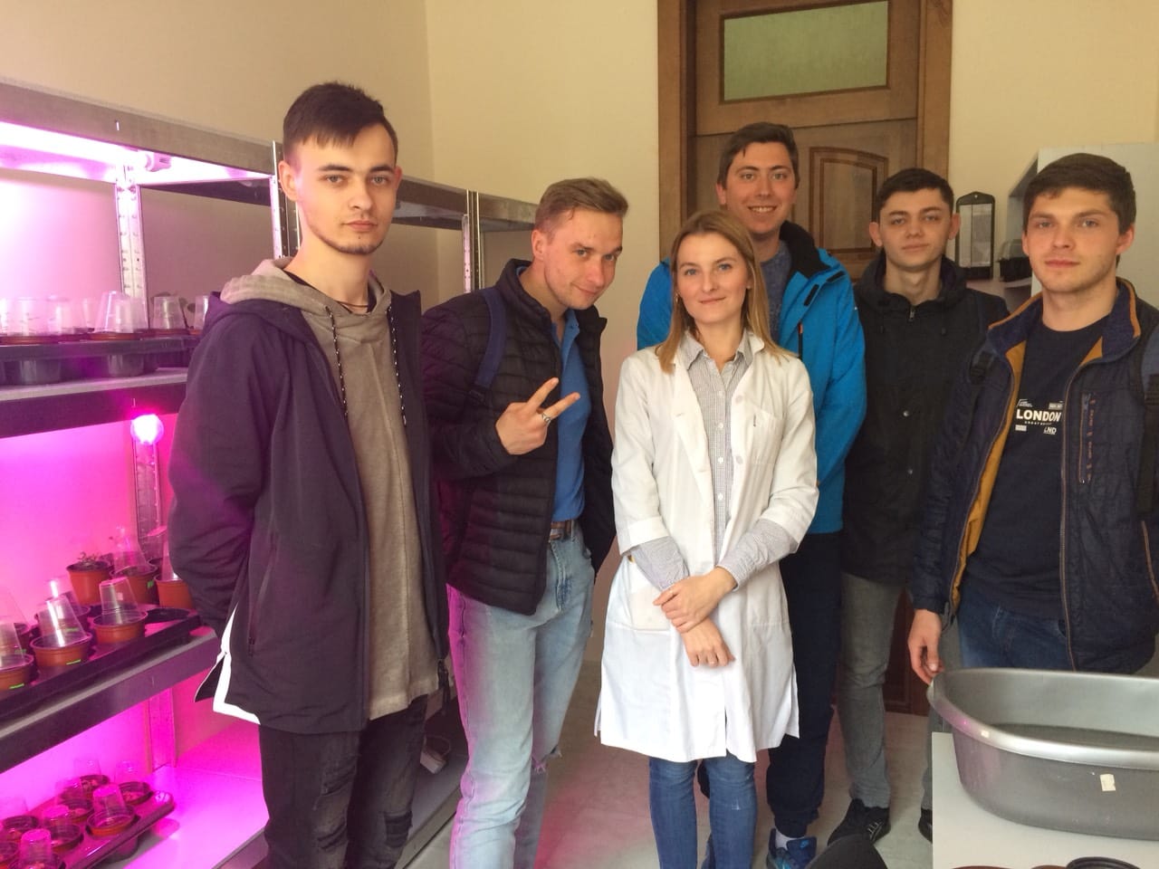 Біотехнологія у лісовій галузі: досвід та інновації