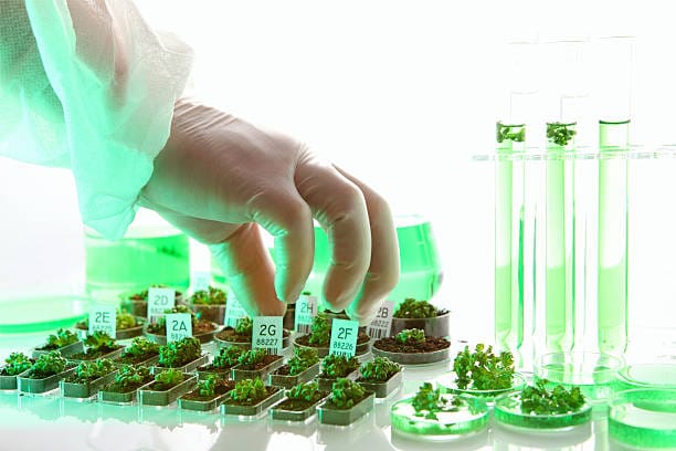 Інженери лісових культур, які підвищують кваліфікацію в «Укрцентркадриліс» завітали до науково-дослідної лабораторії біотехнології рослин