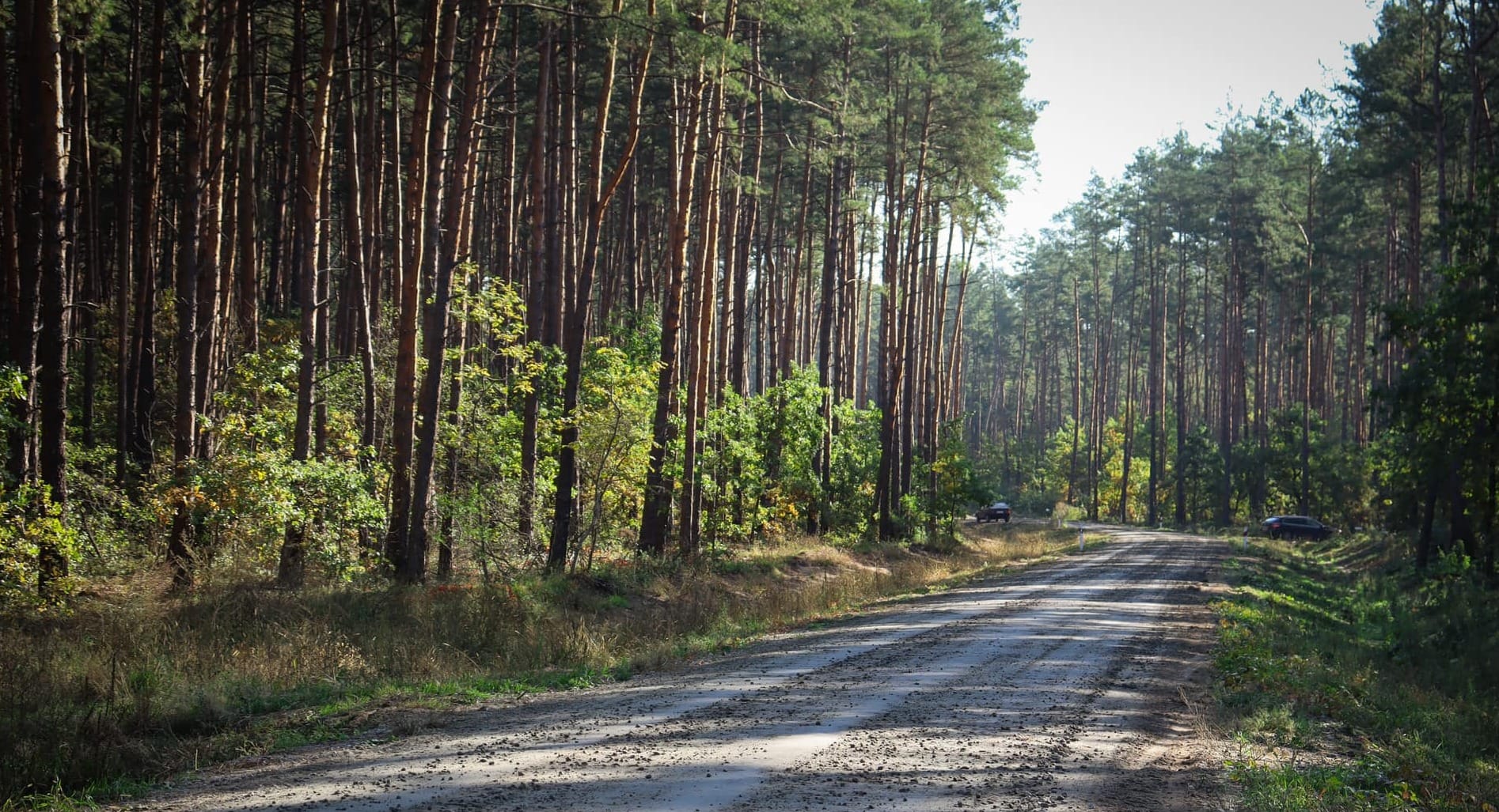 Фіскальний тягар