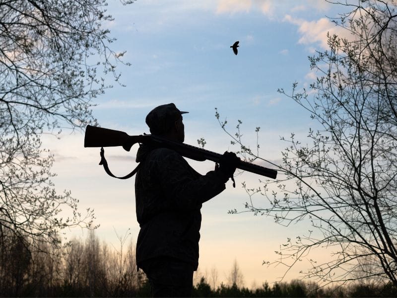 ВАЖЛИВО! Інформування задля запобігання збору, полюванню чи відлову рідкісних та тих, що перебувають під загрозою, видів!