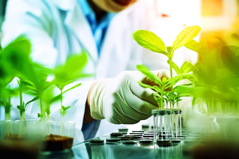 Онлайн-заняття для слухачів «Укрцентркадриліс» із лісової біотехнології