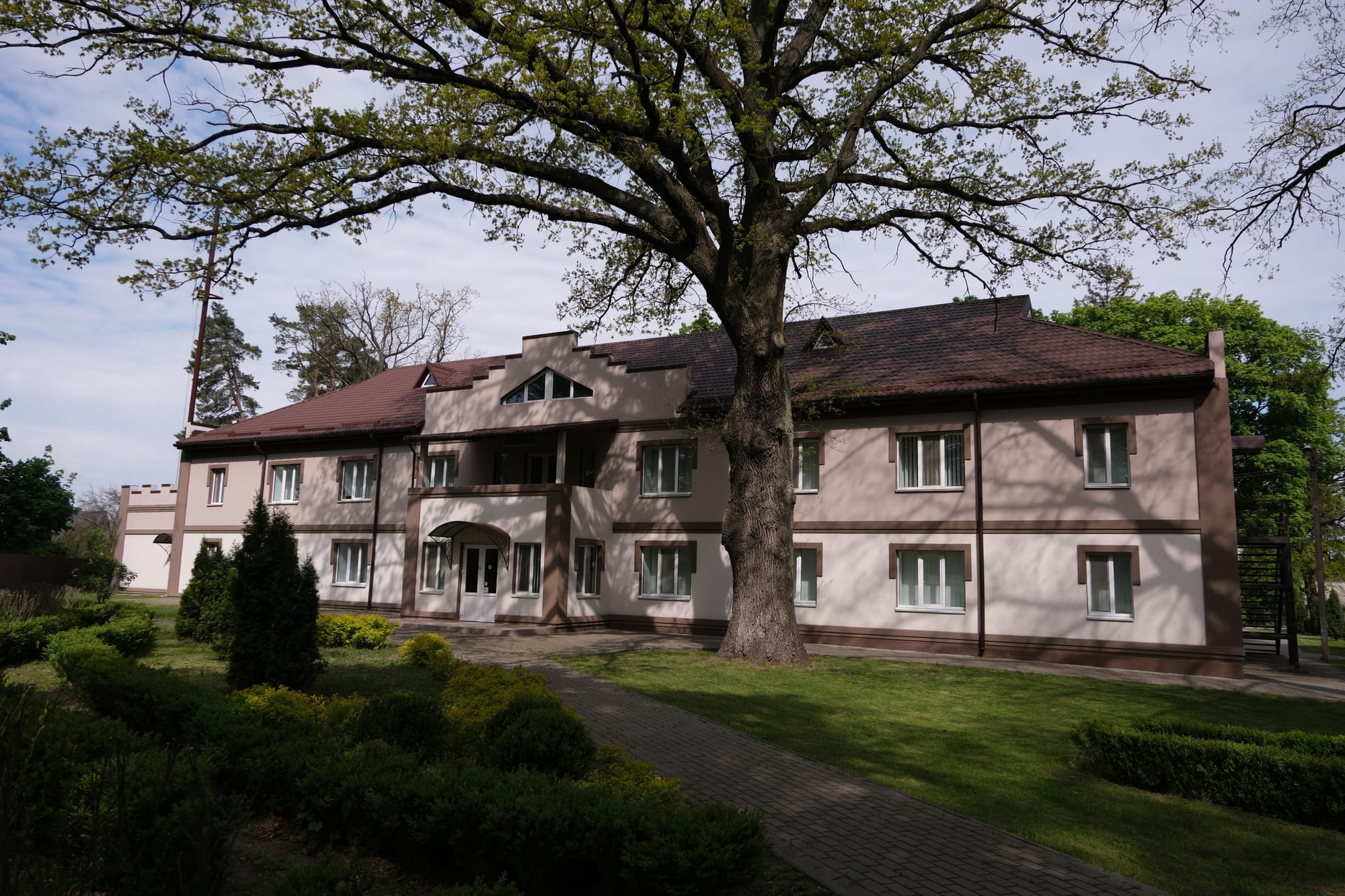 Дзвінківський центр надихає митців: cтворено картину гуртожитку