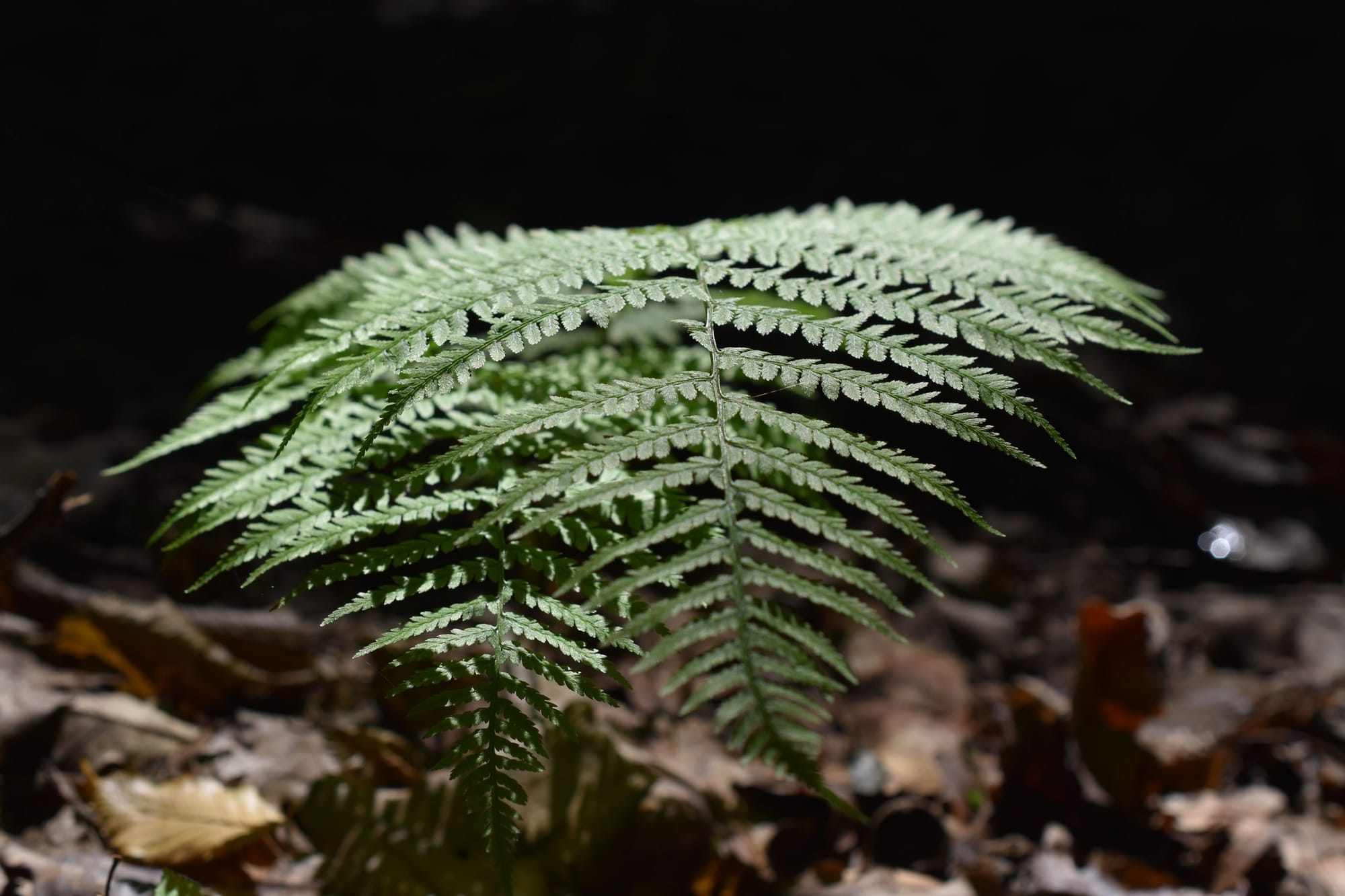 Фотозвіт за липень