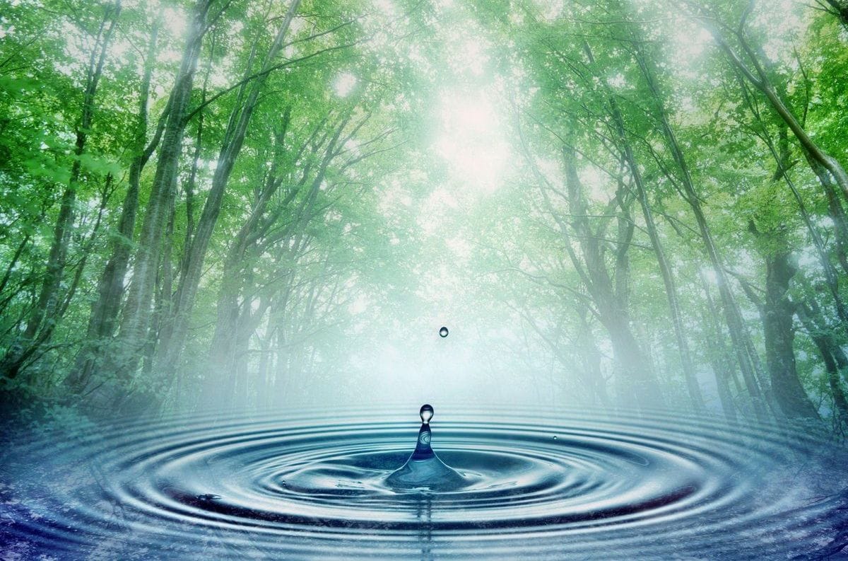 22 Березня – Всесвітній день водних ресурсів (Міжнародний день води)!