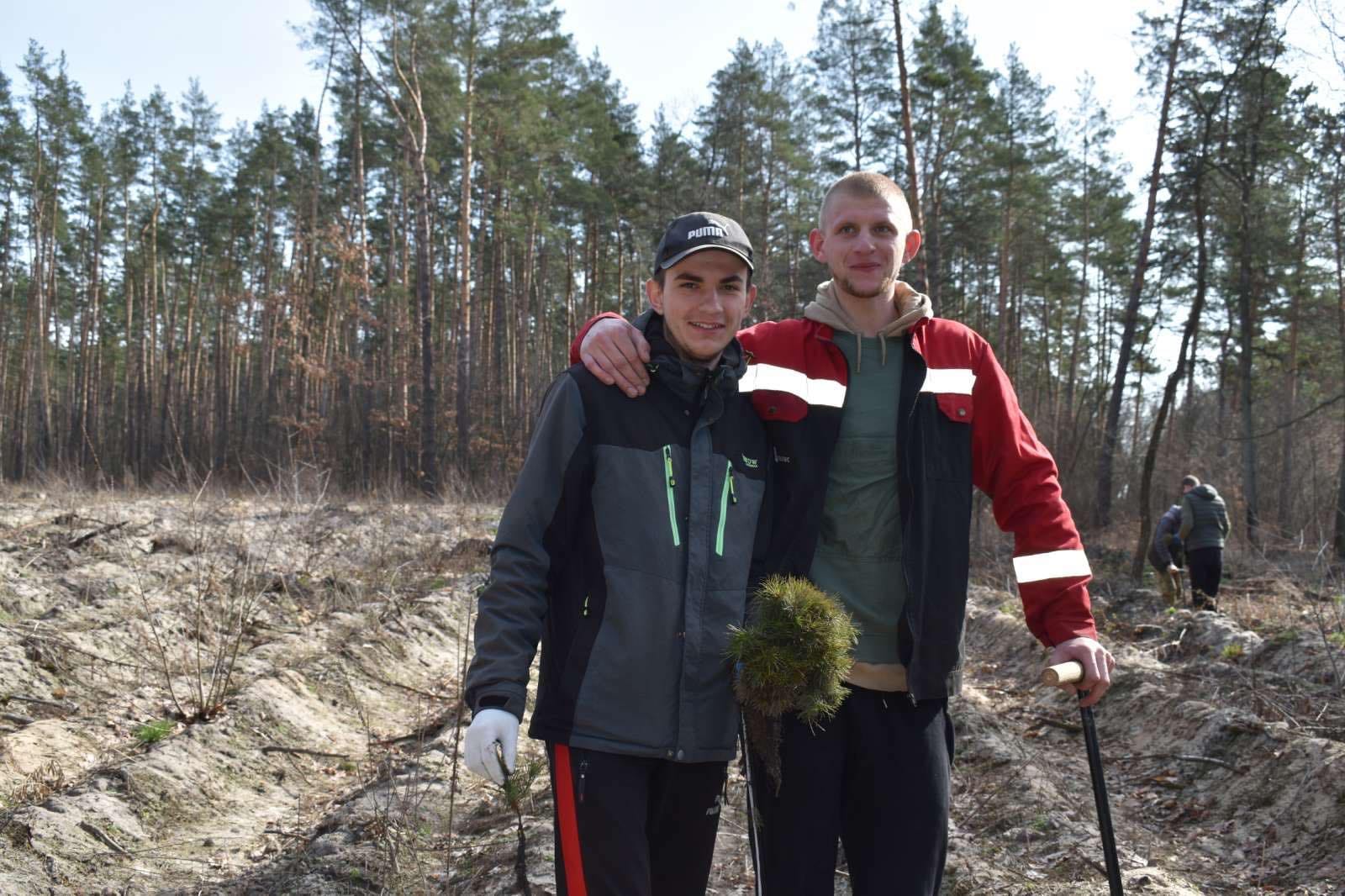 Навчальна практика з дисципліни «Лісові культури»