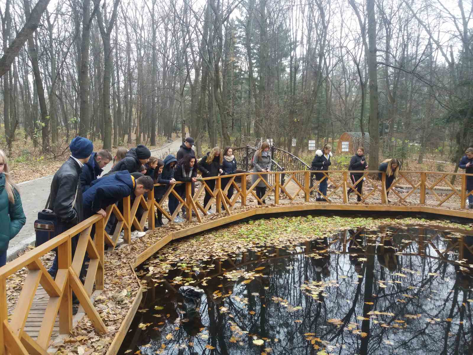 Лісівники організували для учнів Плесецької школи профорієнтаційну екскурсію до НУБіП України