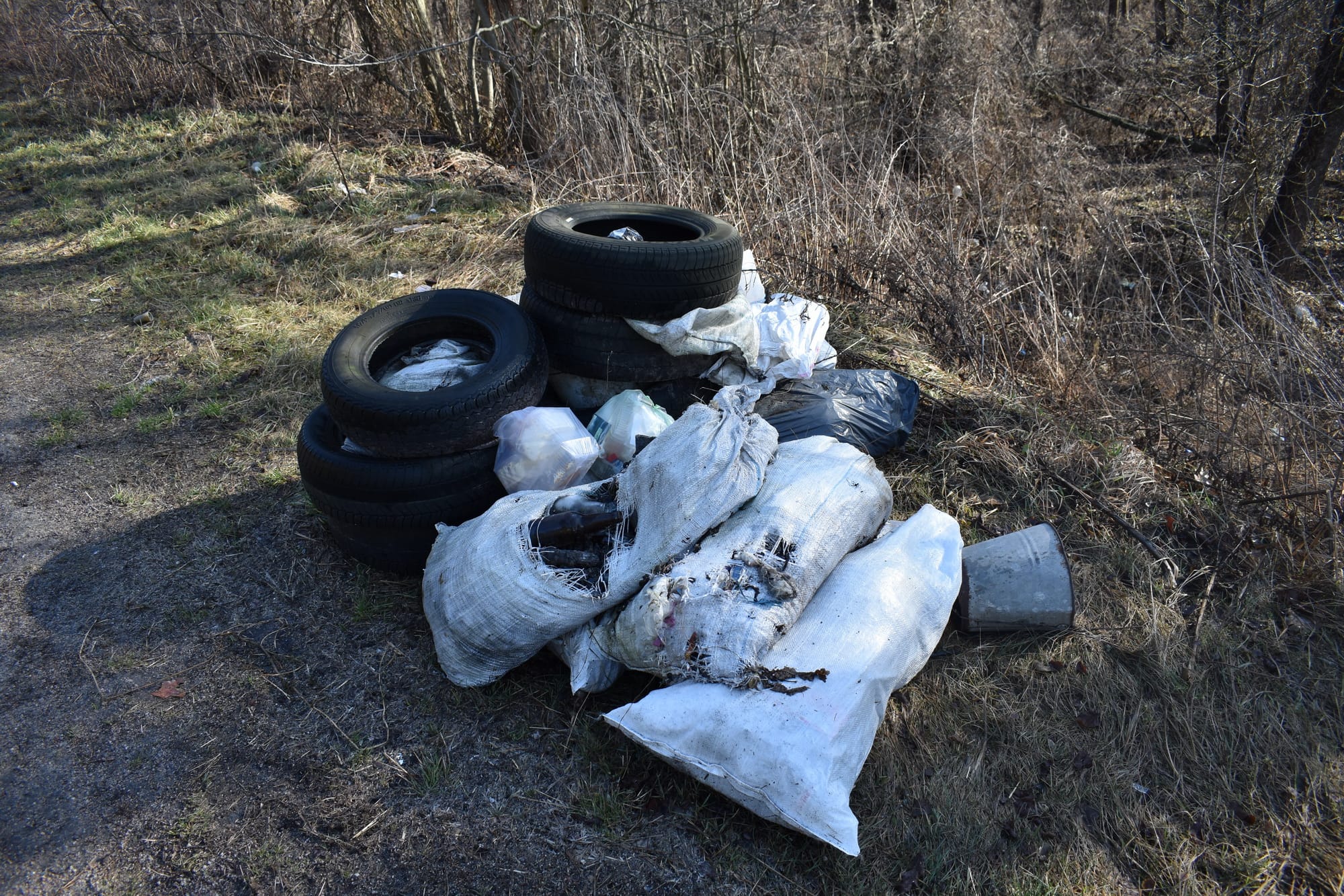 Засмічення лісів побутовим сміттям та відходами – одвічна проблема лісівників усієї України!