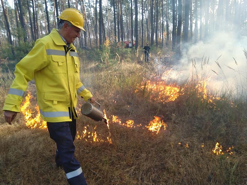 Пірогенний чинник, як один з інструментів формування лісів майбутнього