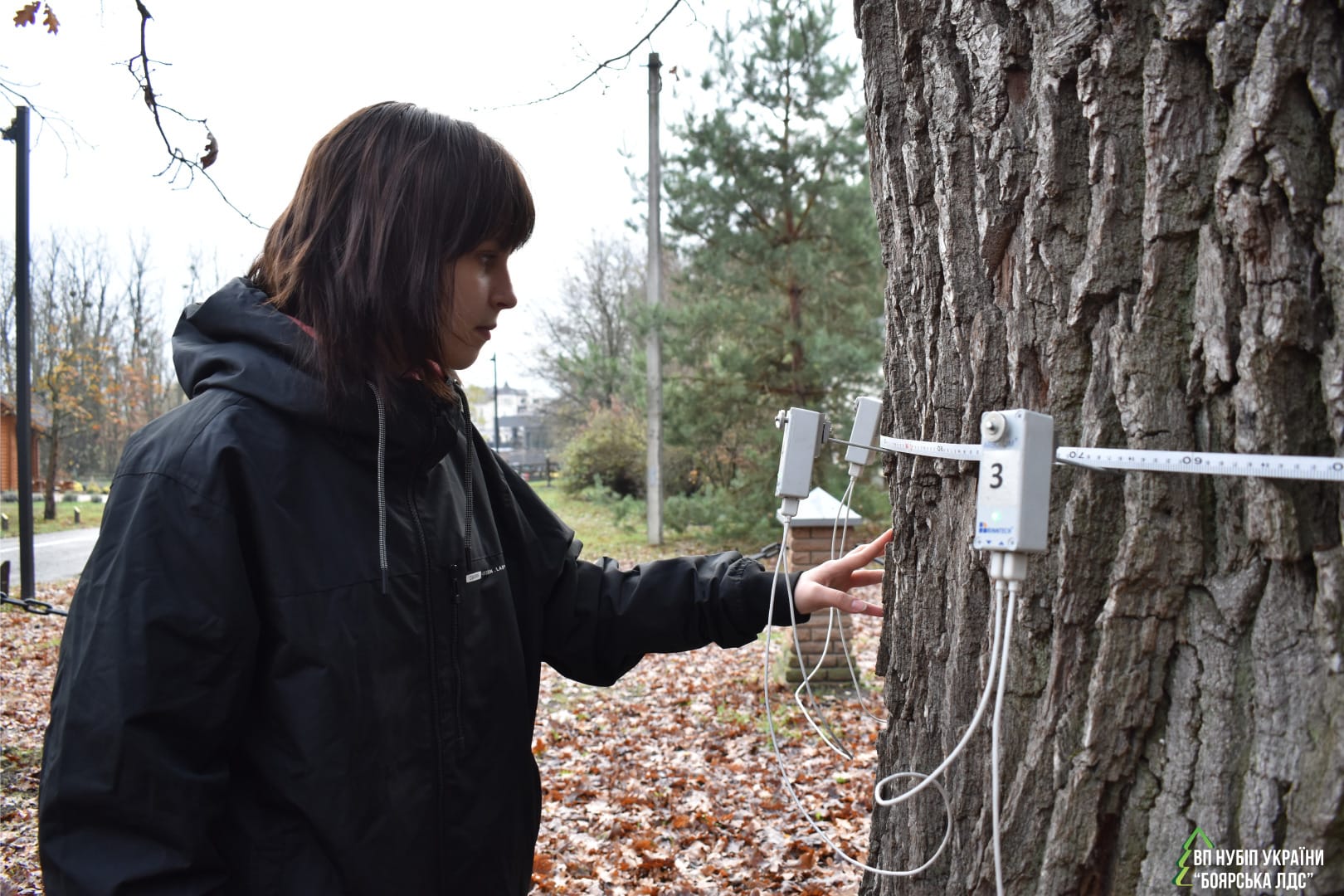 У світі науки