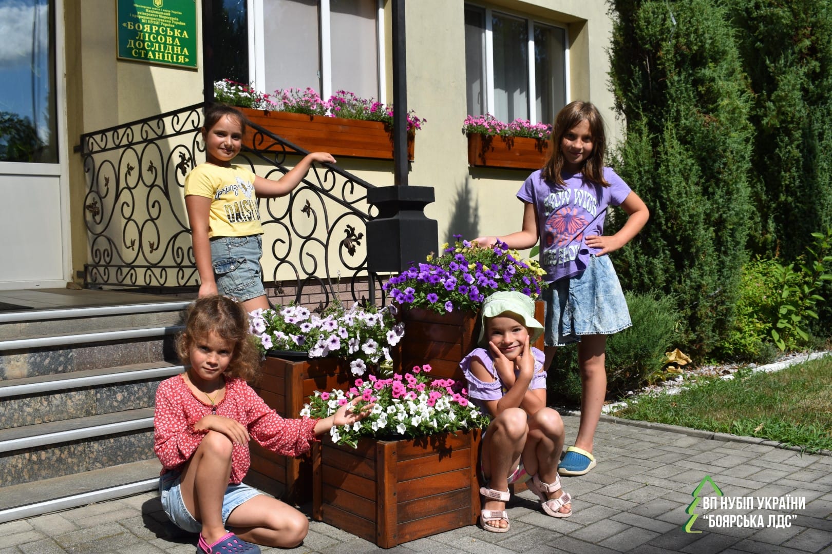 Пригоди починаються тут