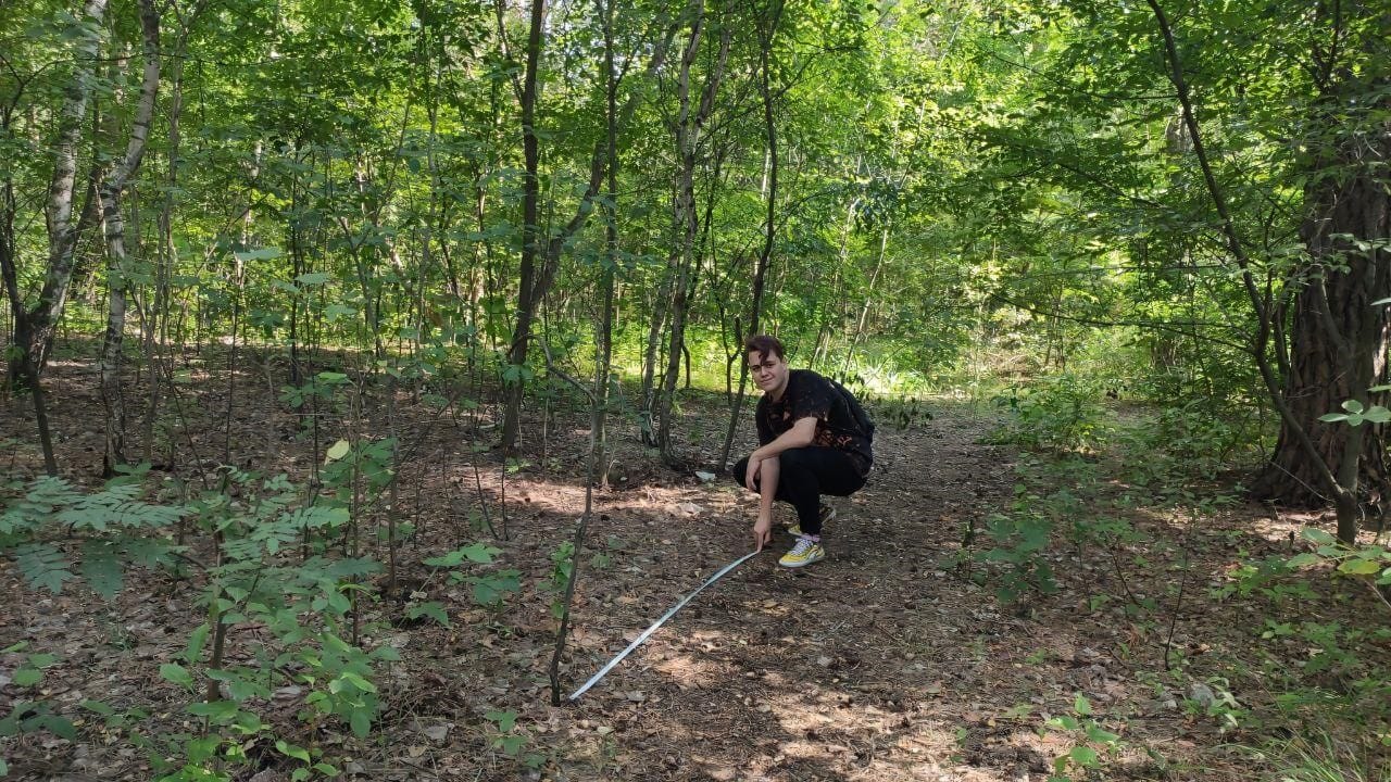 Навчальна практика з дисципліни «Лісівництво»