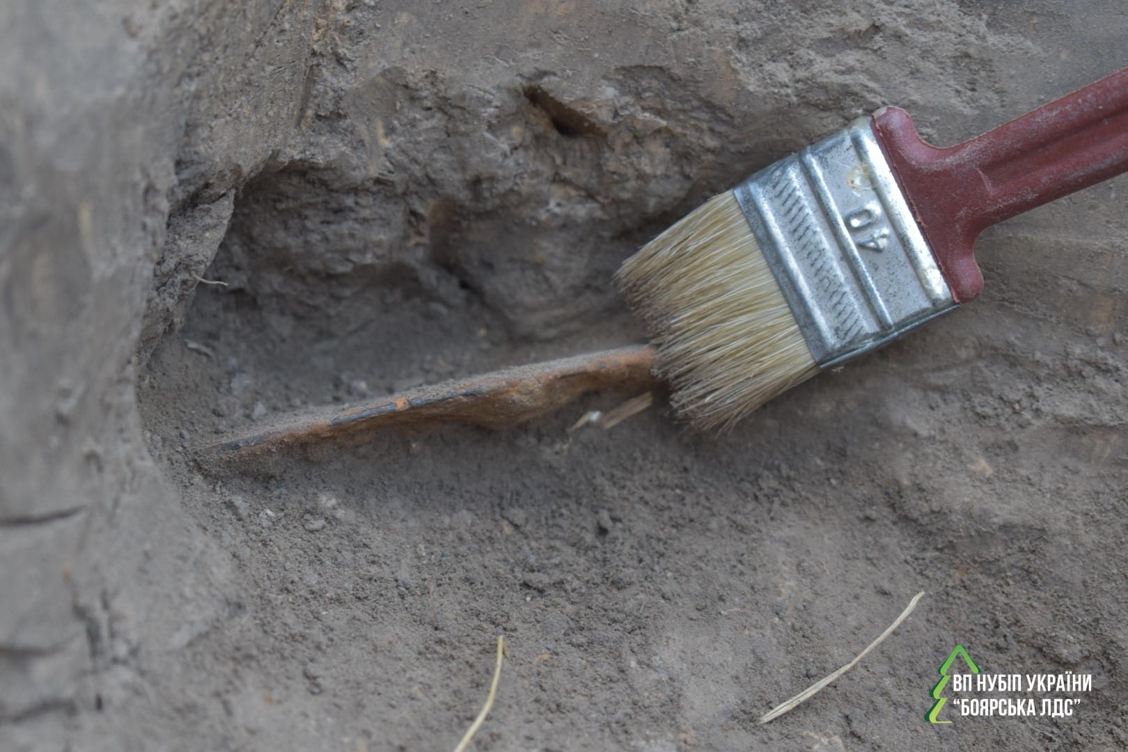 Від мезоліту до козацтва: розкопки на території Боярської ЛДС тривають