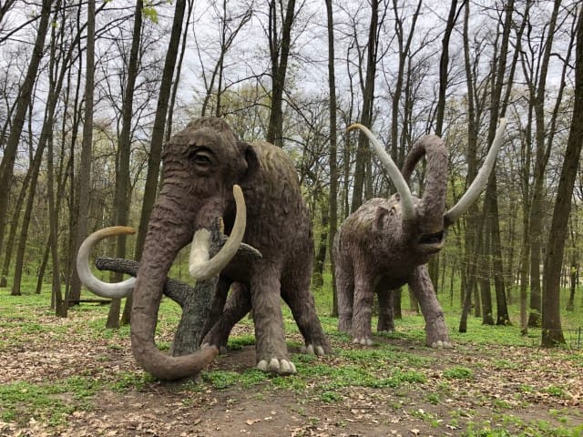 Ботанічний сад НУБіП – оазис м. Києва