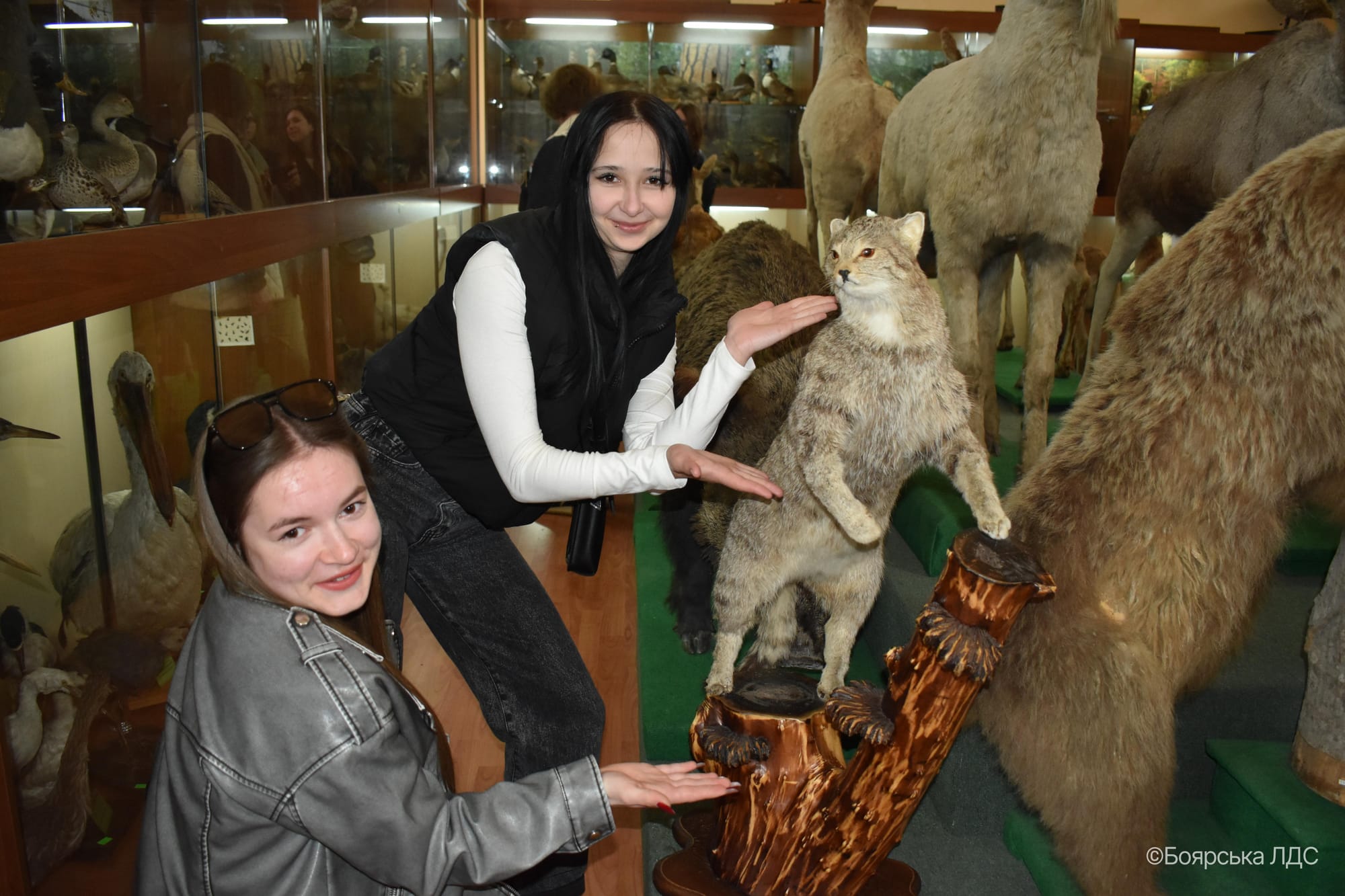 Профорієнтація в дії: школярі ознайомилися з лісовою наукою в ННІ ЛіСПГ