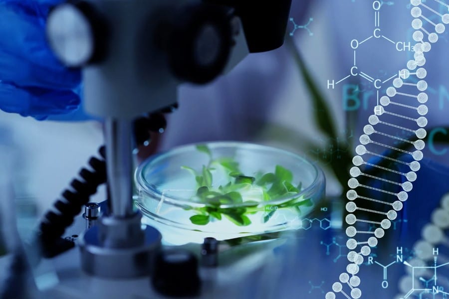 Патентування наукових досліджень: від ідеї до охоронного документа