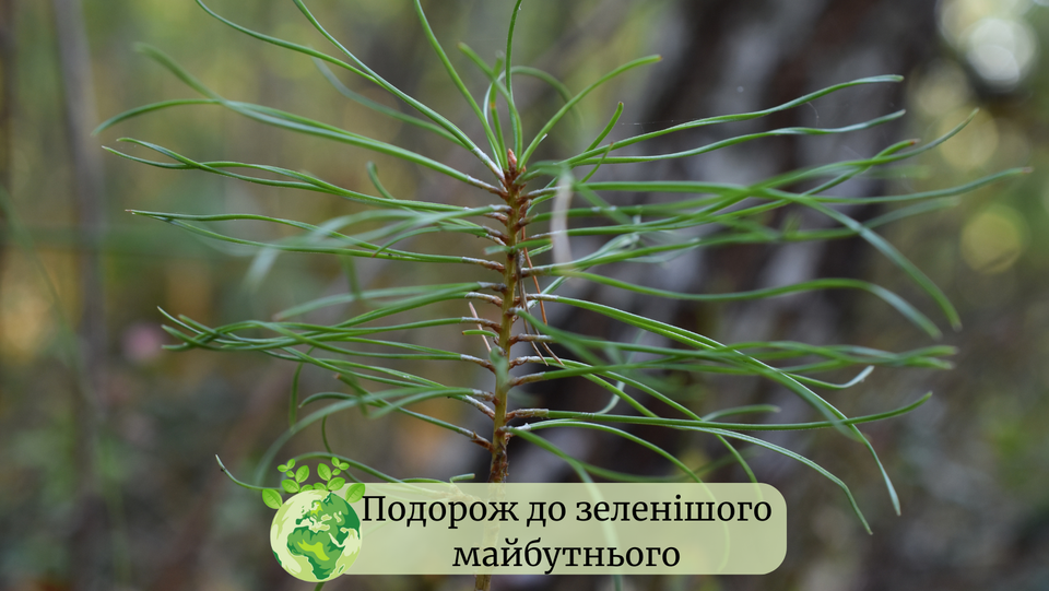 День навколишнього середовища