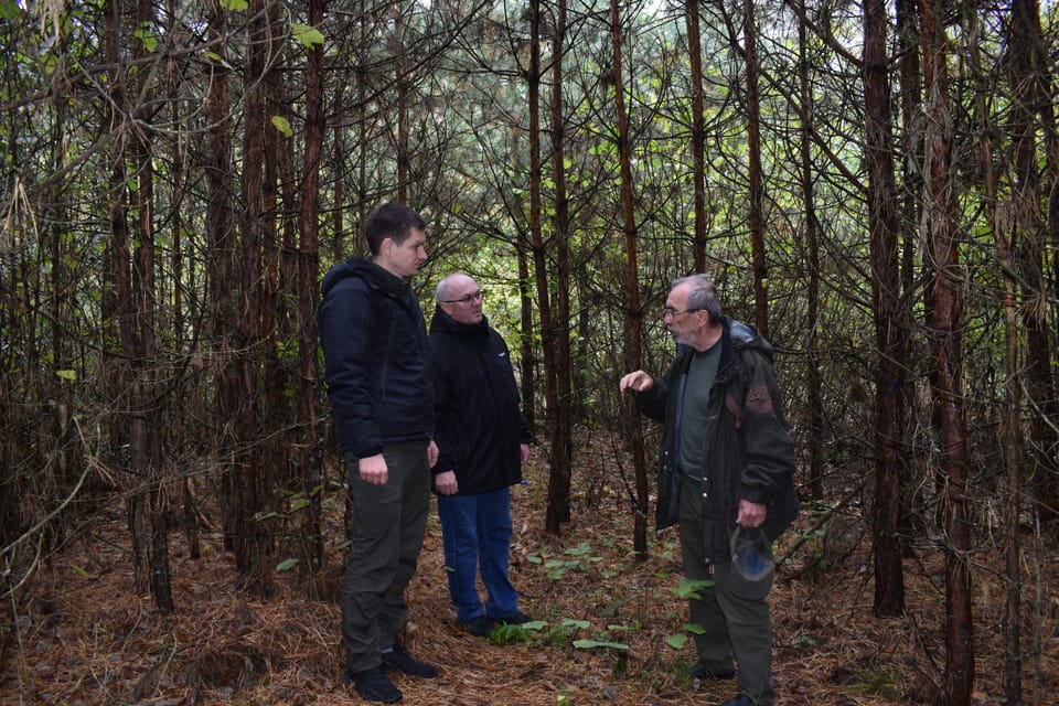 Системні дослідження на території лісового фонду