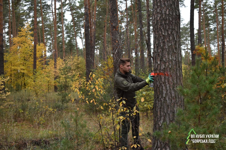Навчання як запорука ефективного впровадження стратегії наближеного до природи лісівництва