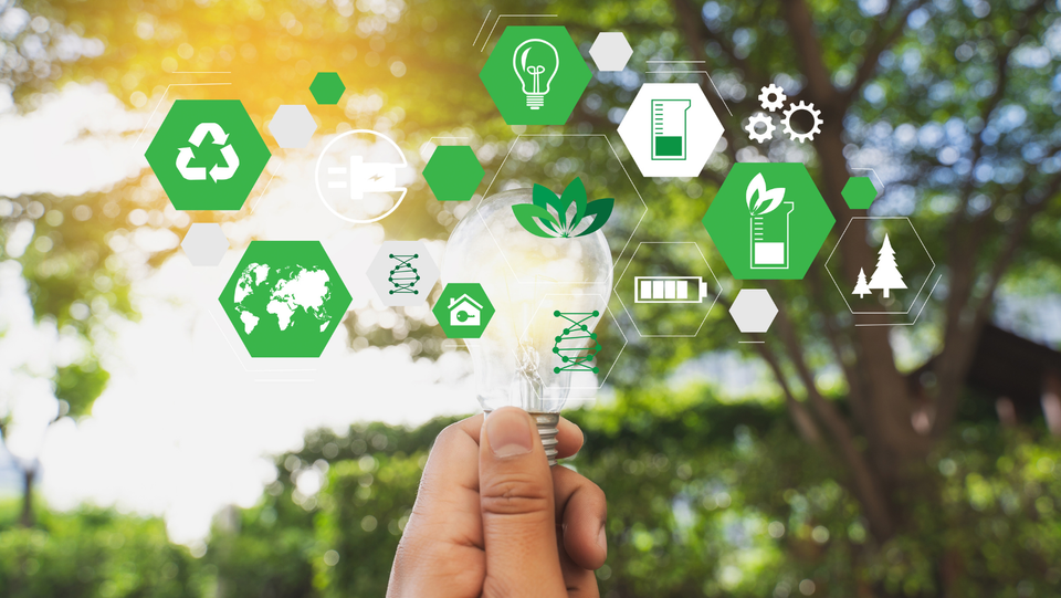 Всесвітній день екології та екологів