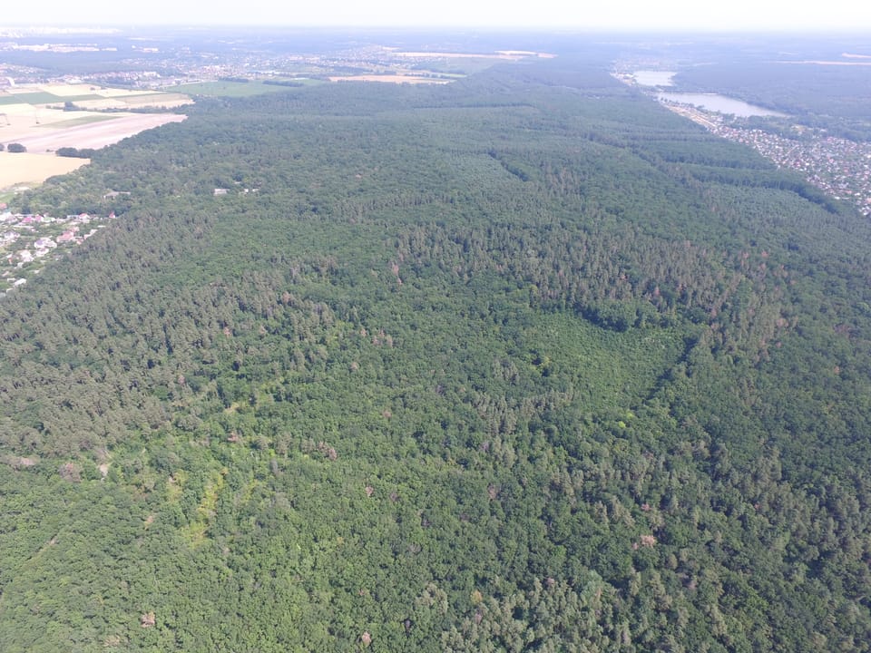 Студенти ННІ лісового і садово-паркового господарства разом зі співробітниками ВП НУБіП України Боярська ЛДС збирали дослідний матеріал під час навчальної практики за допомогою дрона