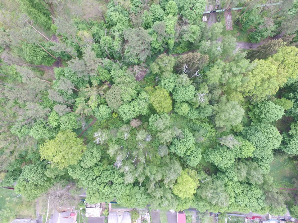 Лісівники занепокоєні масовим псуванням знаків наочної агітації та межових знаків на території ВП НУБіП України «Боярська ЛДС» .