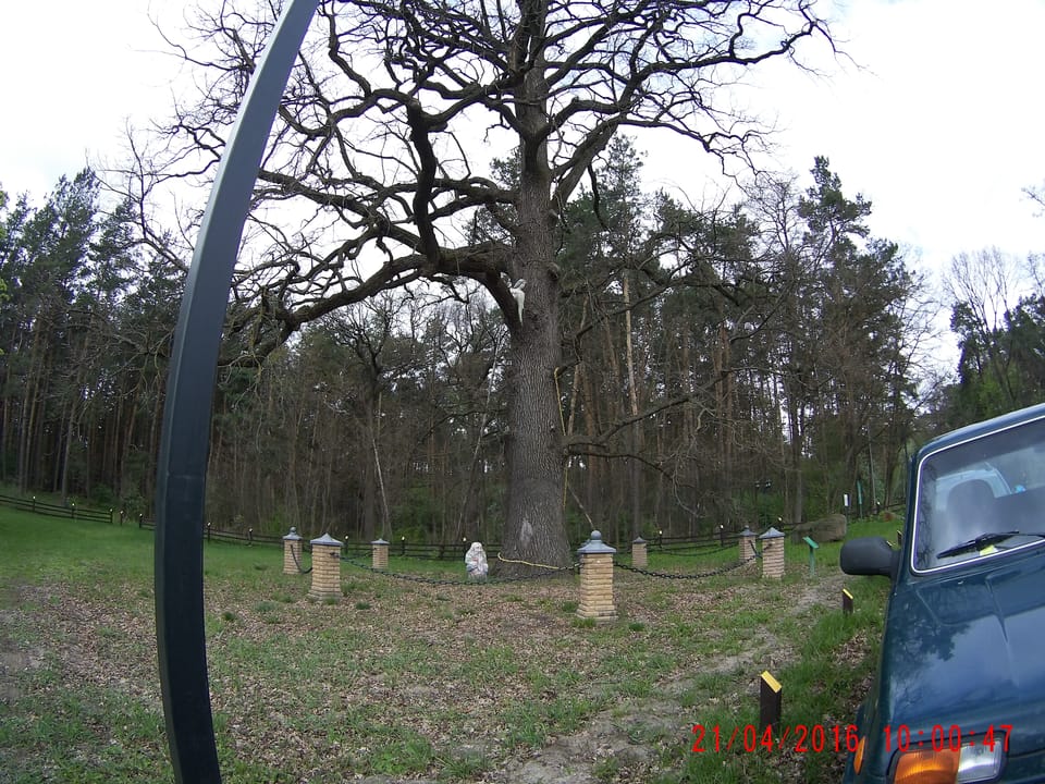 Зустріч робочої групи з обстеження лісових ділянок на предмет заповідання під лісовий заказник місцевого значення «Чернечий ліс»