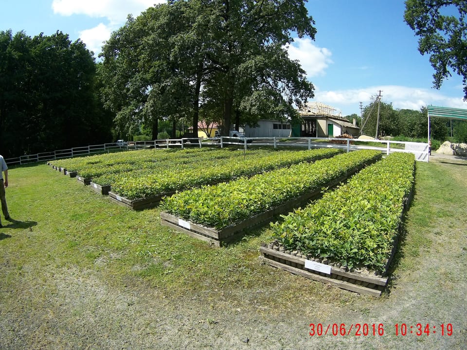 Працівники ВП НУБіП України «Боярська ЛДС» за підтримки Черкаського обласного управління лісового та мисливського господарства відвідали лісогосподарські підприємства Черкаської області.