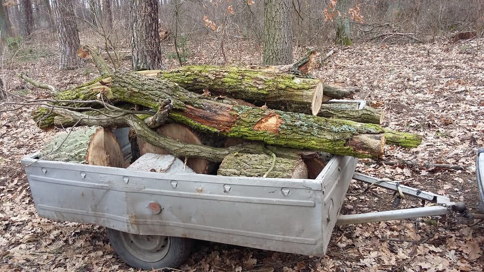 Працівники лісової охорони ВП НУБіП України Боярської ЛДС здійснюють щоденний контроль за охороною та збереженням лісів.