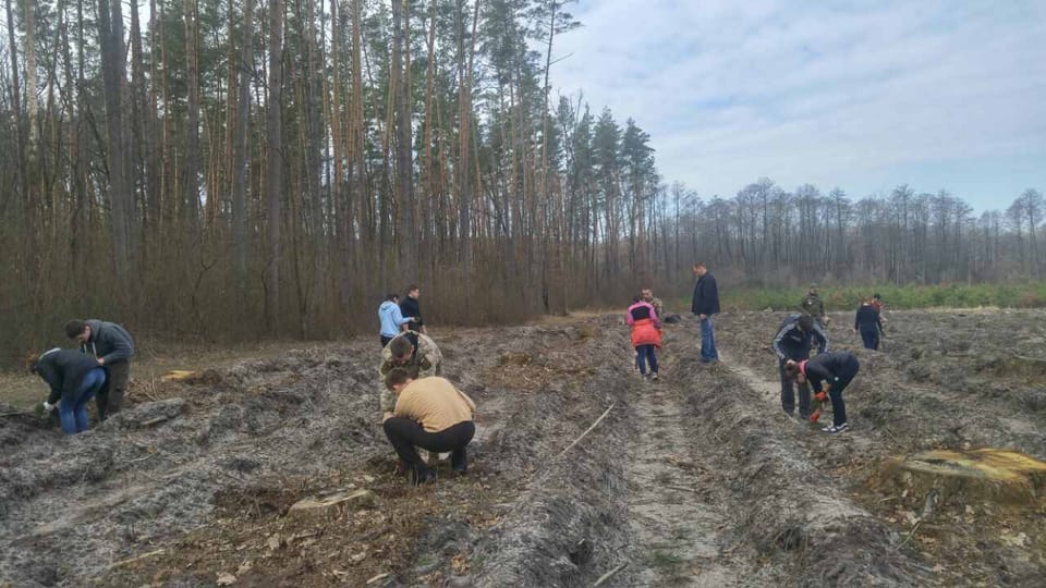 Студенти НУБіП України саджали ліс в Плесецькому лісництві