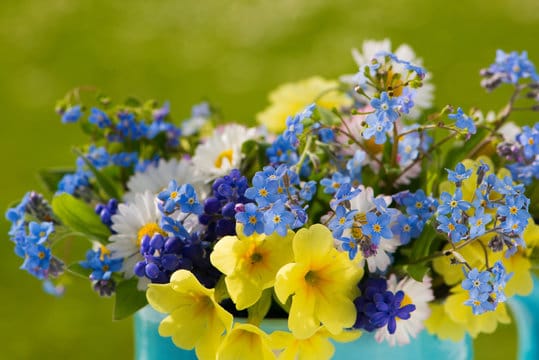 Вітаємо агітбригаду «Вітаміни» зі здобуттям ГРАН-ПРІ на Всеукраїнському конкурсі колектив екологічної просвіти