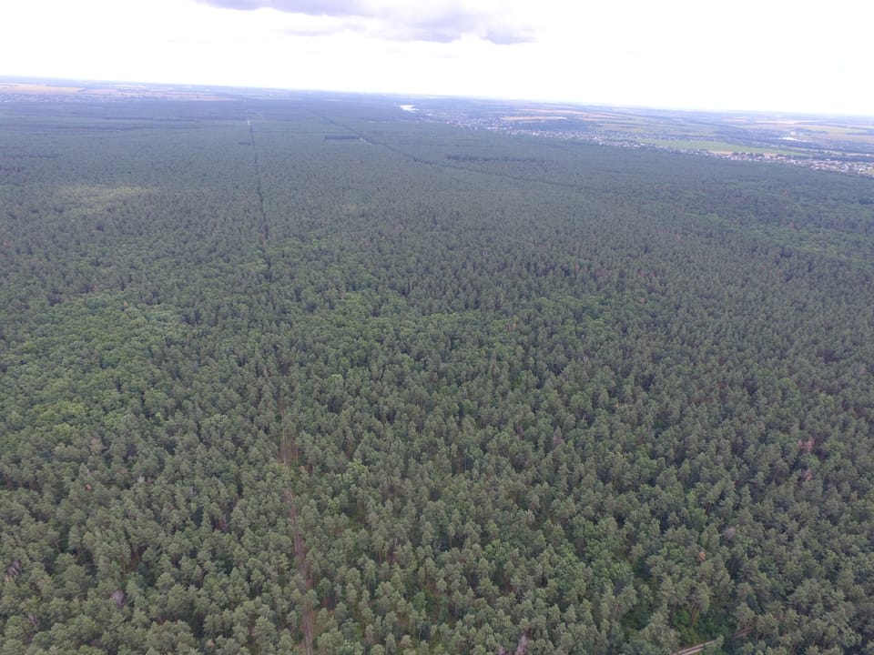 "Азимут" турботи про ліс і людей
