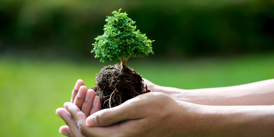 За обміном досвіду – до лісівників Вінниччини!