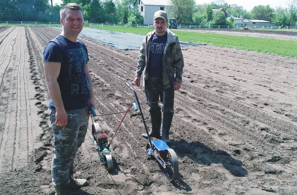 Процес вирощування сіянців у лісових розсадниках триває