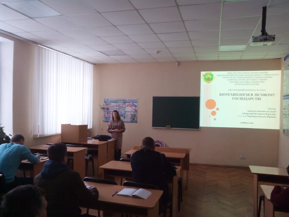 Інноваційні методи біотехнології  у лісовому господарстві України: перспективи та можливості